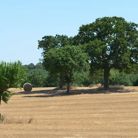 Masseria Calandrella B&B 노치