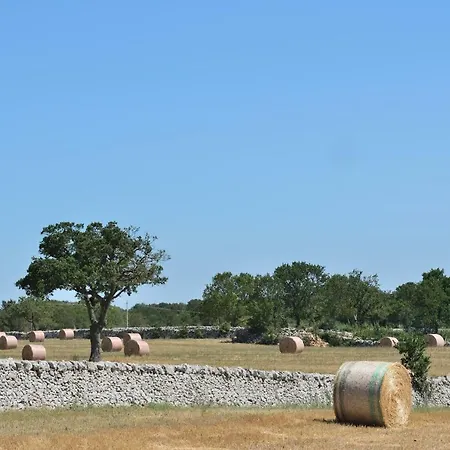 Masseria Calandrella Bed & Breakfast *