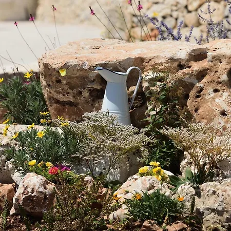 Masseria Calandrella Bed & Breakfast Noci